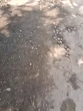 Sandeepa897 online show from December 16, 6:20 am