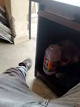 Roy   121 online show from March 22, 6:51 am