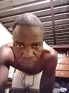 pdck2025 online show from November 27, 12:14 am