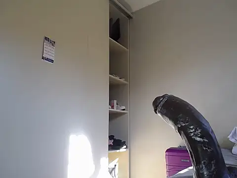 KinkyJXxX online show from April 10, 1:29 pm