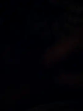 BarrenProtege online show from November 24, 10:00 pm