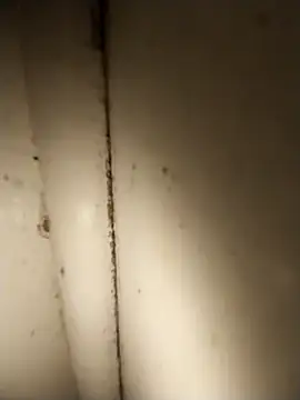 AdvancedRoster online show from April 21, 3:18 pm