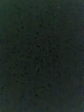 Sexyland0007 online show from November 27, 3:49 pm