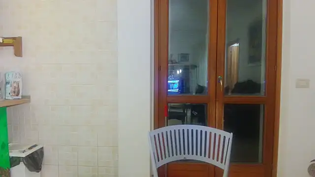 AMIRDIB2025 online show from February 3, 12:08 am