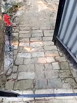 sjsvvsnsfahav online show from November 30, 2:02 am