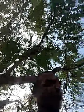 Andreskelly online show from March 17, 3:14 pm