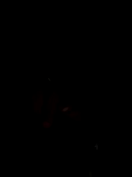 elnegrotopboy23 online show from December 14, 3:57 am