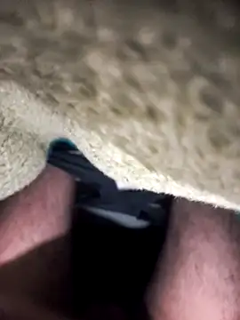 HWiwni online show from December 15, 2:30 am