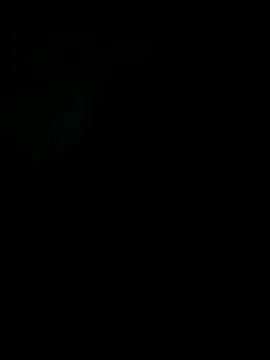 Asianicespun online show from December 18, 6:15 pm