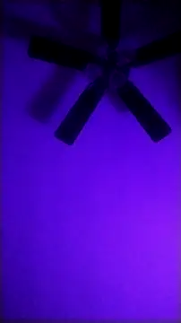 Cantgetenough0069 online show from May 17, 7:38 am