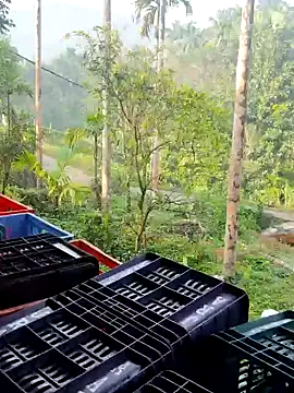 ancyauhuss online show from December 22, 3:14 am