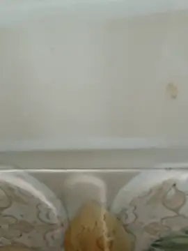 Pagelboy 089 online show from March 19, 3:04 pm