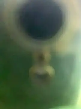 Wassimdz410 online show from April 21, 8:48 pm