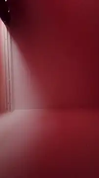 Der Schoene Penis online show from February 21, 11:00 am