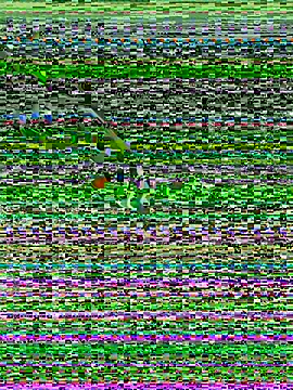 Nizipli srkn online show from June 23, 5:12 am