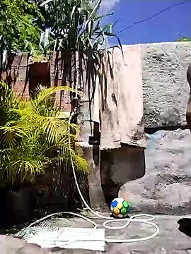 Baiiano028 online show from March 7, 3:54 pm