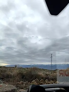 costt2 online show from January 18, 11:01 am