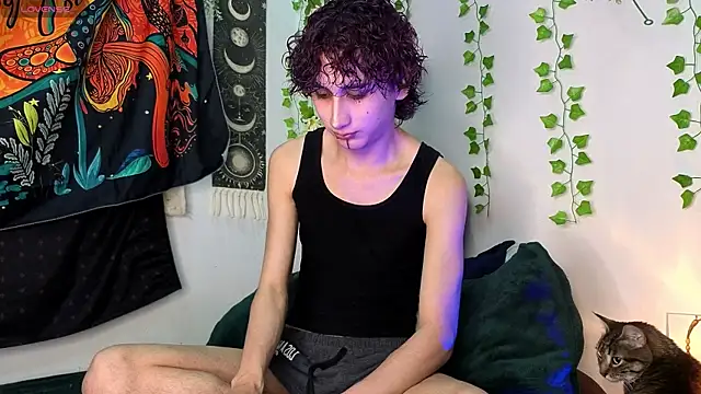 noynxz online show from July 29, 6:01 am