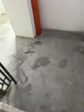 Wvpppp online show from March 26, 7:45 am