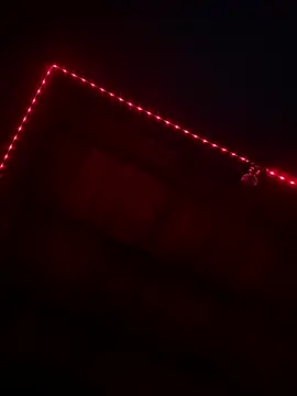 Adan21 cm online show from March 19, 8:28 am