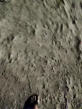 crazyxy12 online show from February 2, 4:04 pm