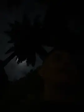 Gael Velaryx online show from April 2, 3:15 am