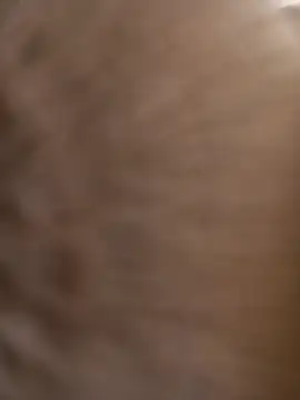 blackpenca online show from February 9, 12:54 pm