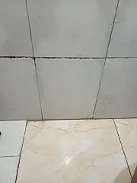 DGdaSul online show from April 10, 5:25 am