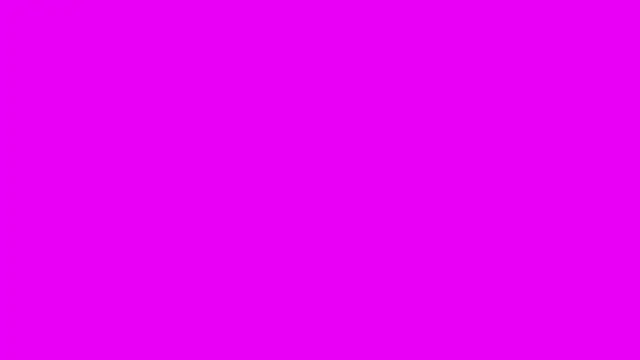 irohsako online show from July 18, 2:29 am