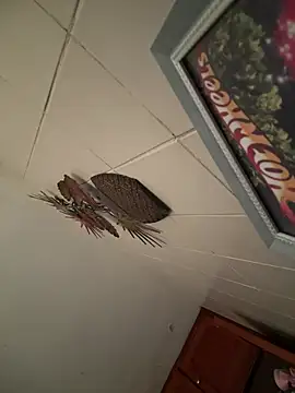 Valentinacouple online show from February 14, 7:31 pm