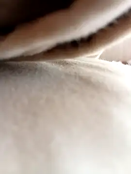 Luigi966 online show from March 27, 6:42 pm