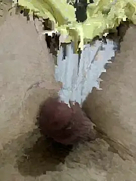 comokalii online show from March 11, 11:34 pm