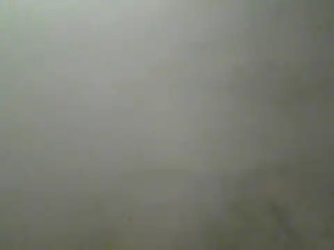 Foxboy65 online show from July 27, 5:31 pm