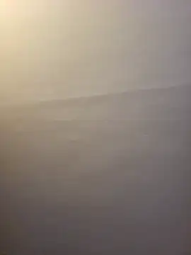 dufatcock online show from March 22, 11:21 pm