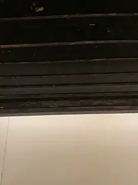 trz19 online show from March 30, 3:24 pm