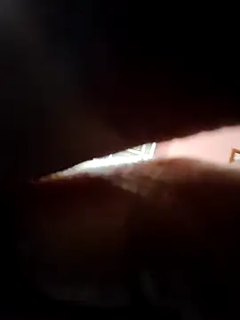 doggy69-dog online show from April 5, 9:28 am