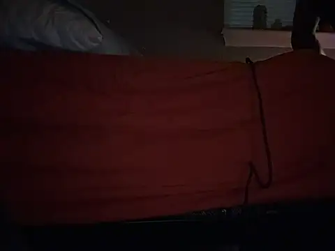 RebornChimney5 online show from August 1, 6:34 am