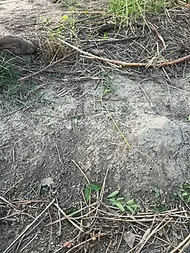 harrydhillon12 online show from June 15, 1:25 pm