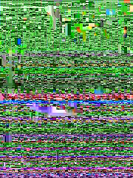 lickerete online show from July 21, 12:18 pm