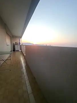 panda 06200 online show from July 30, 4:34 am