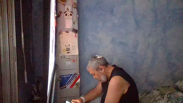 panda 06200 online show from June 3, 7:41 pm