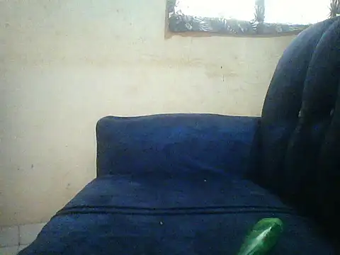 HomeBully online show from July 8, 12:09 pm