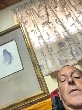 GeldenKuy online show from July 29, 9:08 am
