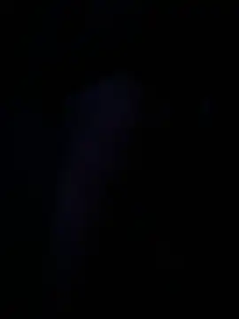 Slumlords online show from February 15, 8:34 am