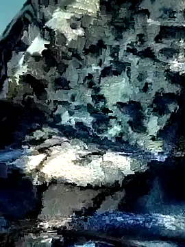 Bengali BULL1 online show from December 5, 10:39 pm