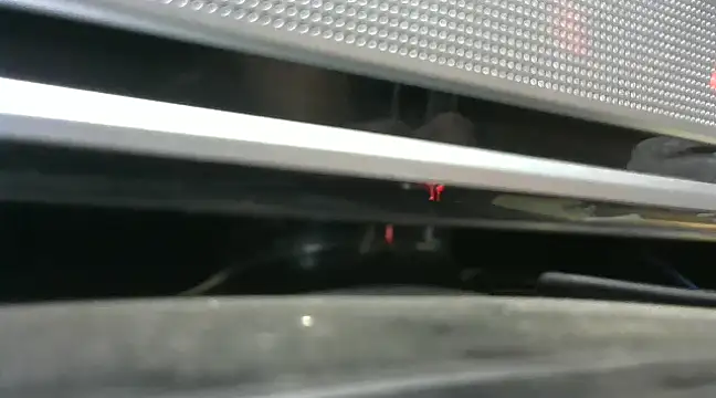 gauchors20 online show from December 26, 1:51 am