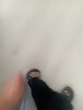 sikicikral online show from April 25, 3:20 pm