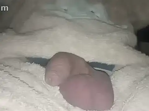 Bigdick666cm online show from February 22, 3:45 am