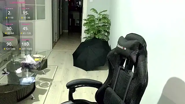 Maribor online show from November 17, 10:35 pm