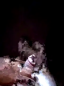 Subhajit12Jana23 online show from November 14, 8:49 am